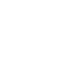 Dimex Logo